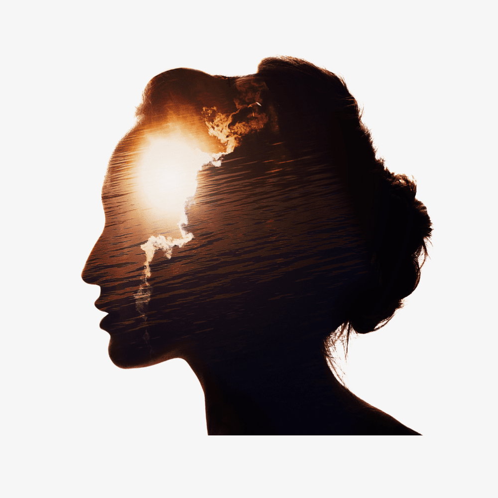 Emotional Intelligence