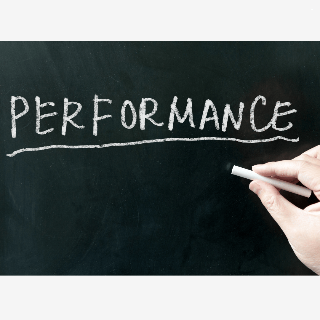 Bar-On Multifactor Measure of Performance™