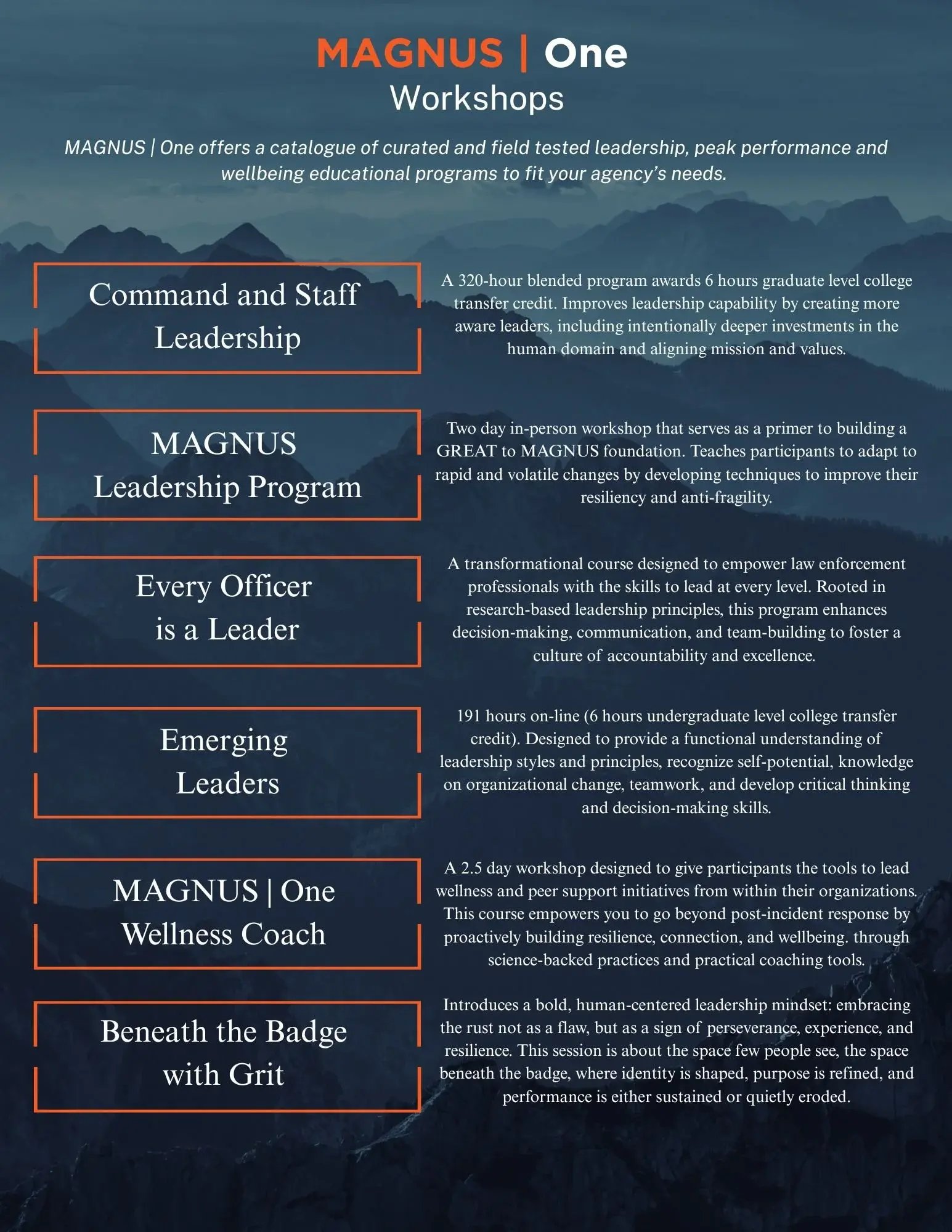 MAGNUS | ONE Workshops