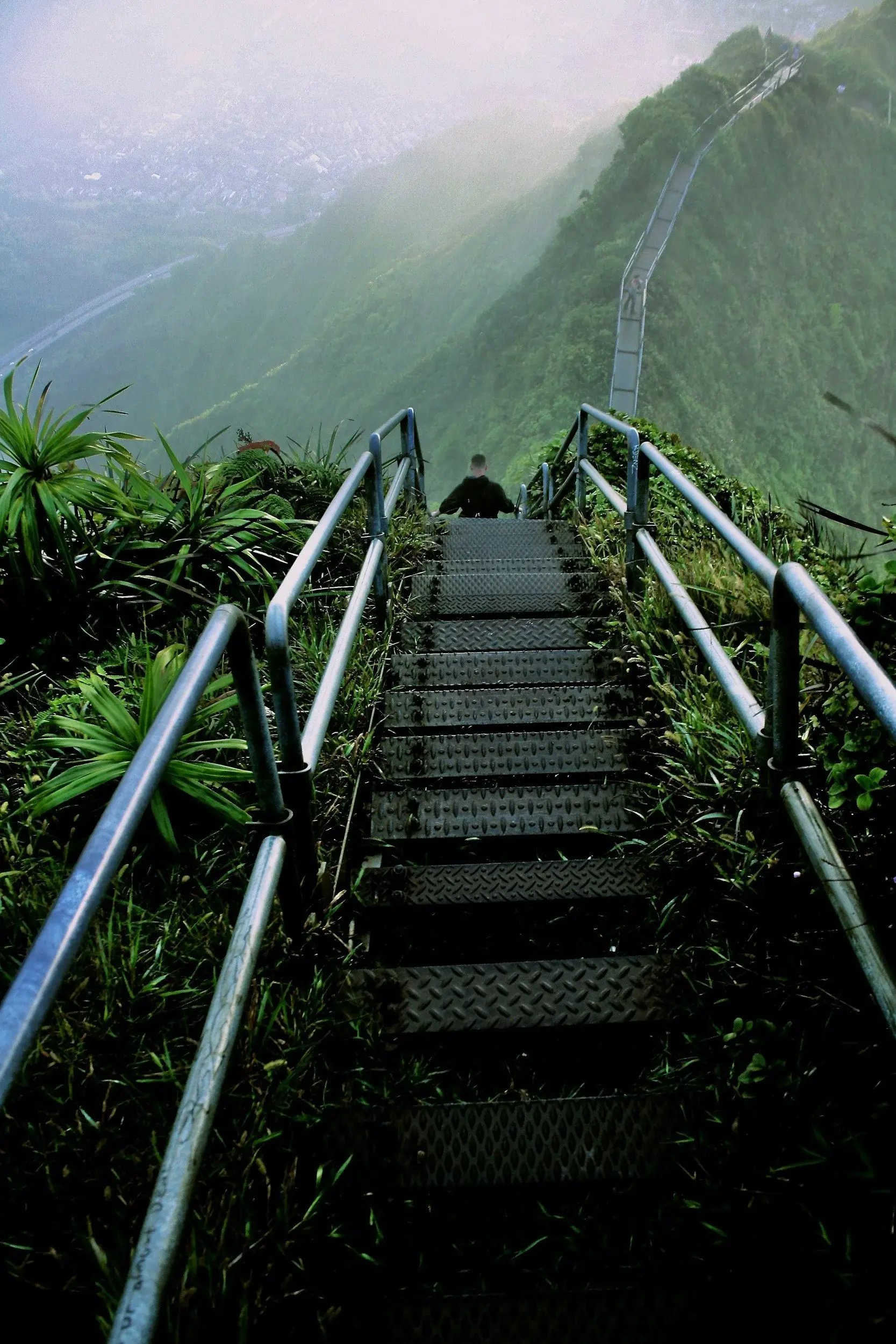 Metal staircase on a mountain trail with lush green vegetation