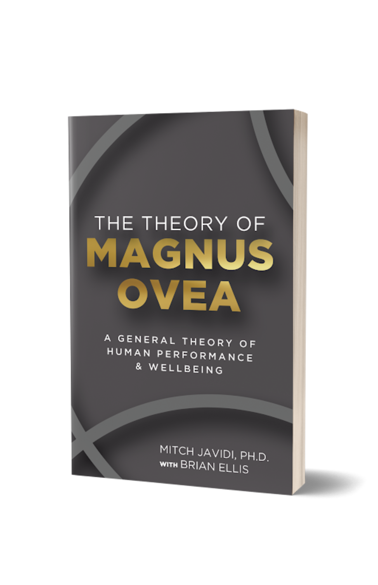 THE THEORY OF THEORIES