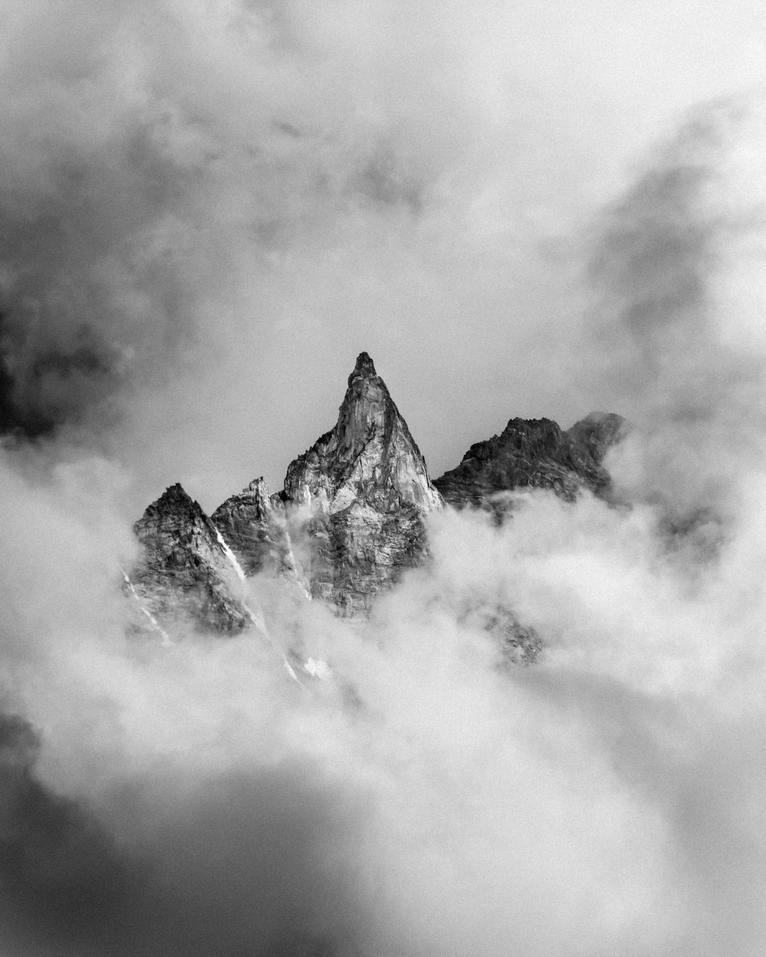 Untitled design - 2026-01-29T145054.410